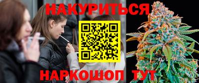jwh Будённовск