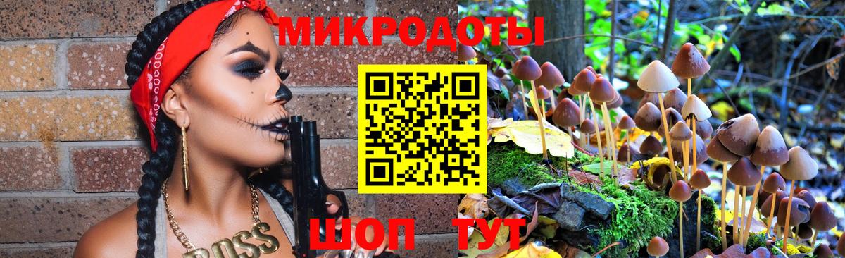 Галлюциногенные грибы мухоморы Копейск